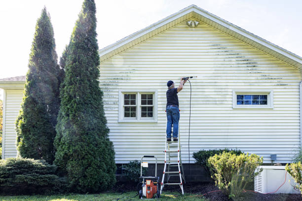 Best Driveway Pressure Washing  in Queen Anne, MD
